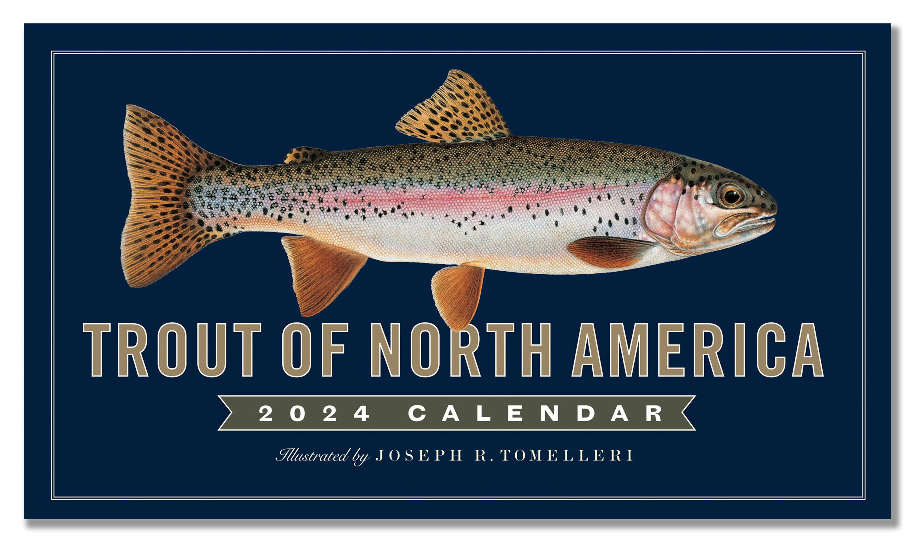 The Ultimate Guide to Sea Trout (Updated Mar 2024) - AnyCreek
