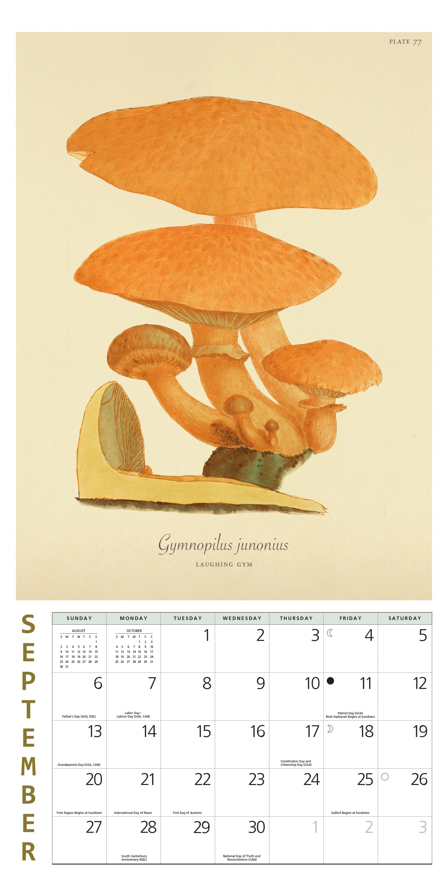 Mini wall calendar with vintage mushroom illustrations