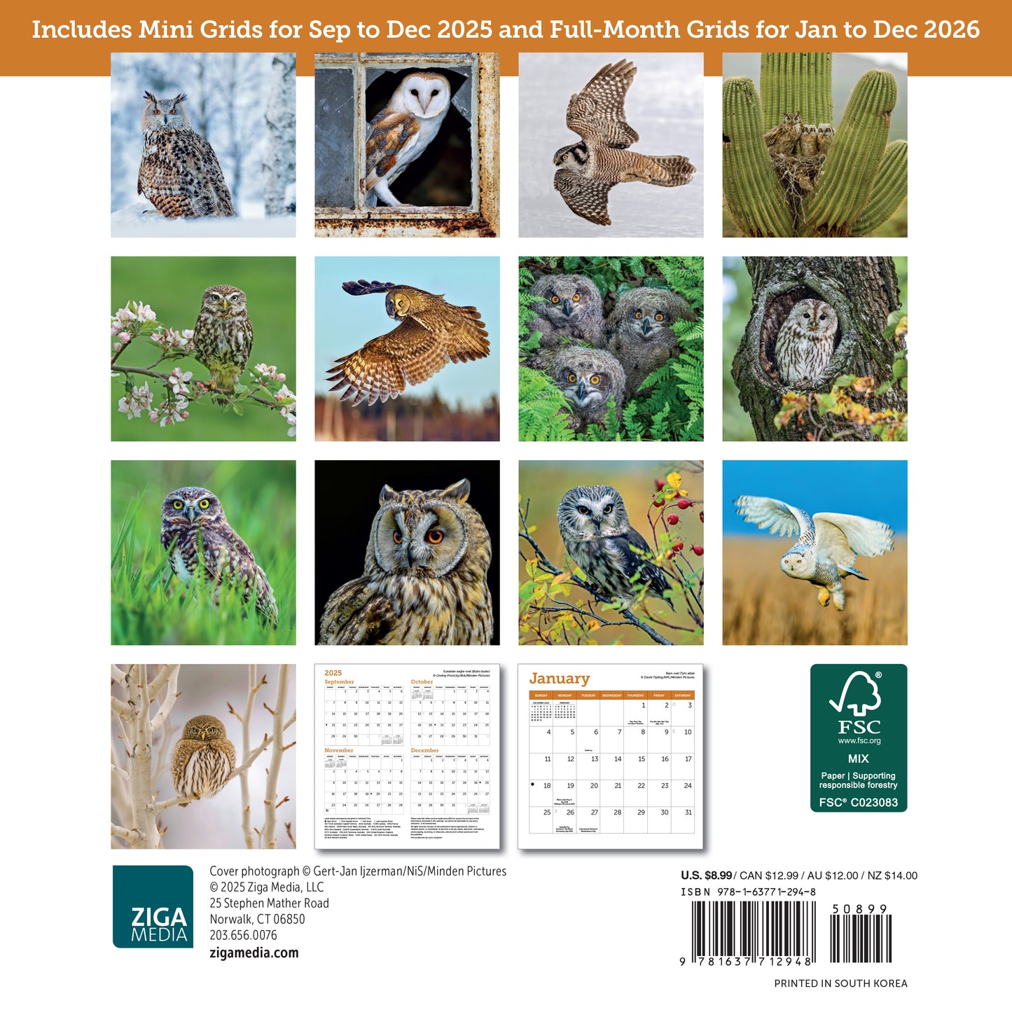 Small 2026 calendar with owl illustrations