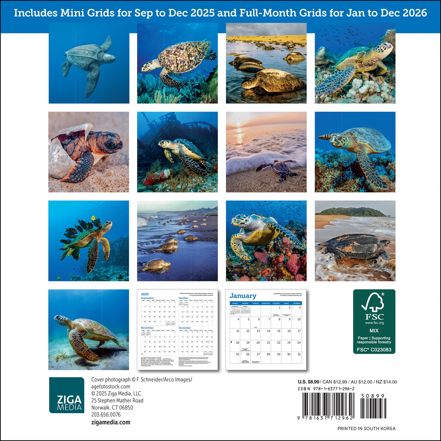 Small 2026 calendar showcasing ocean turtles