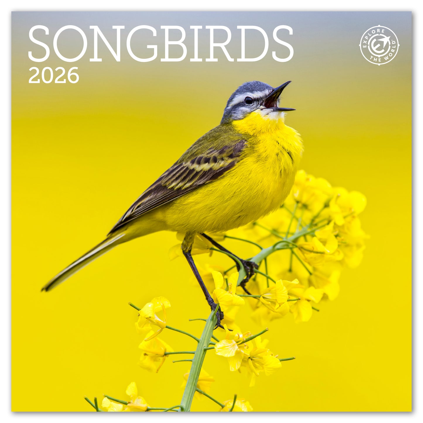 2026 Songbirds Mini Wall Calendar, 7" x 7"