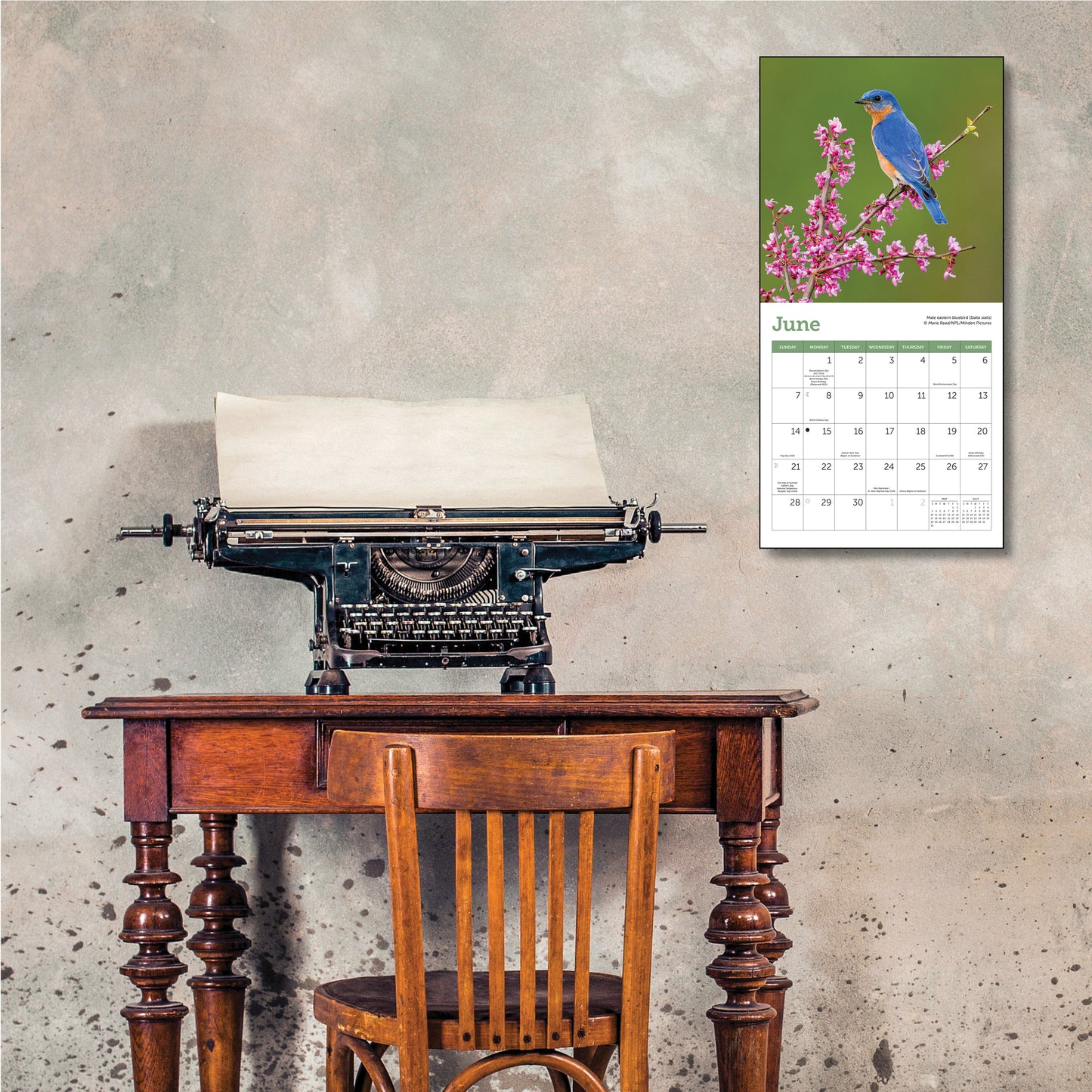 Compact 7" x 7" calendar with bird images