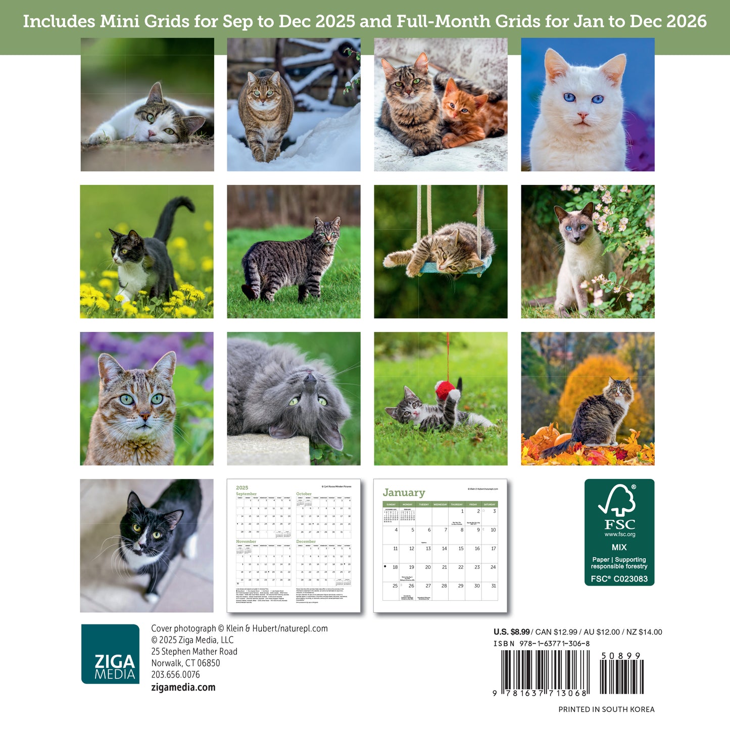 2026 calendar for cat lovers, mini format