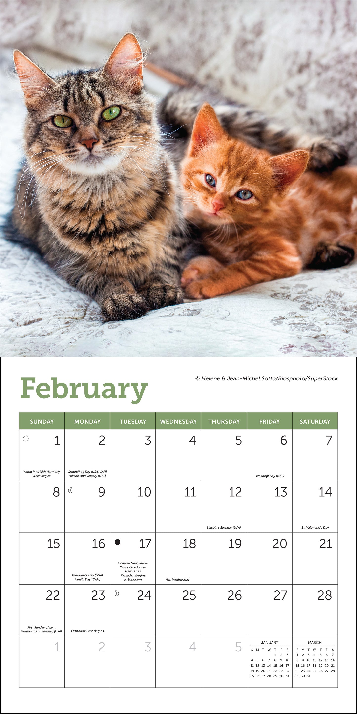 Mini wall calendar featuring cats for 2026