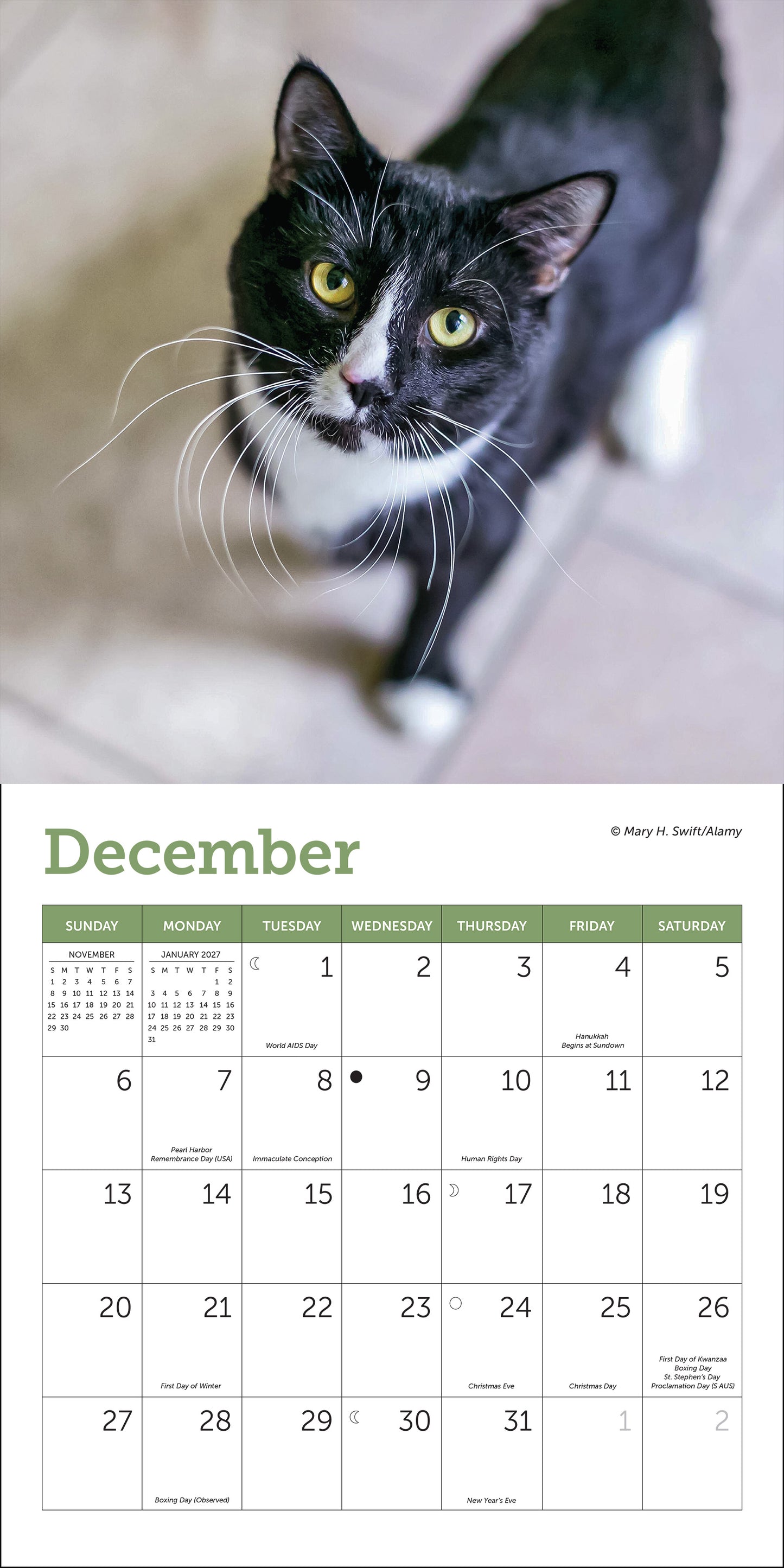Compact 2026 cat calendar with cute feline photos