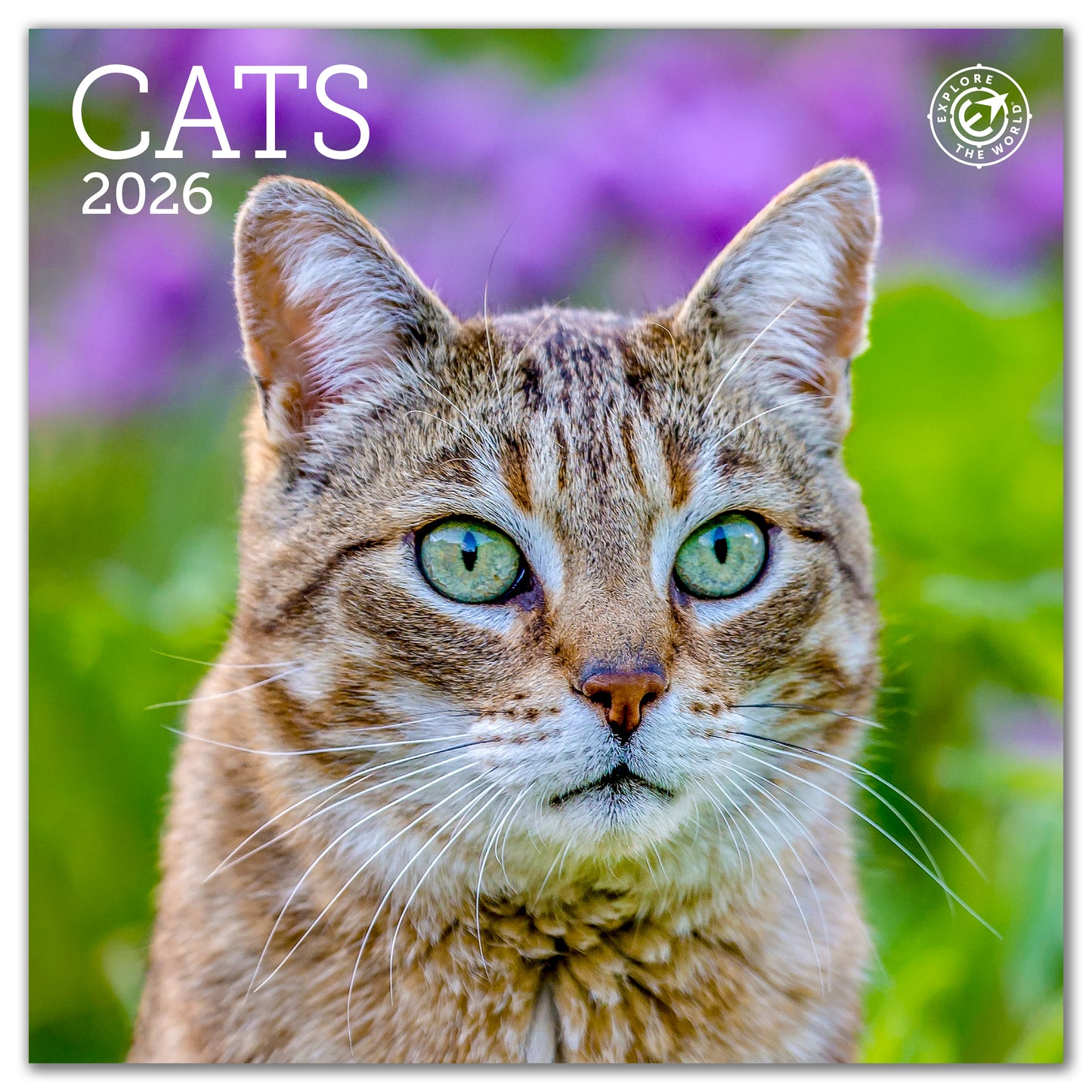 2026 Cats Mini Wall Calendar, 7" x 7"