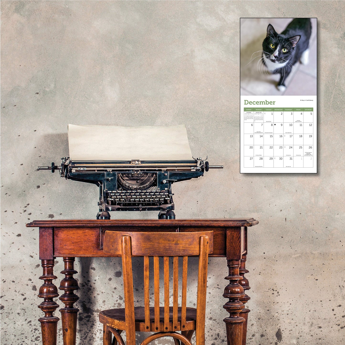 Small wall calendar with cat images, 7" x 7"