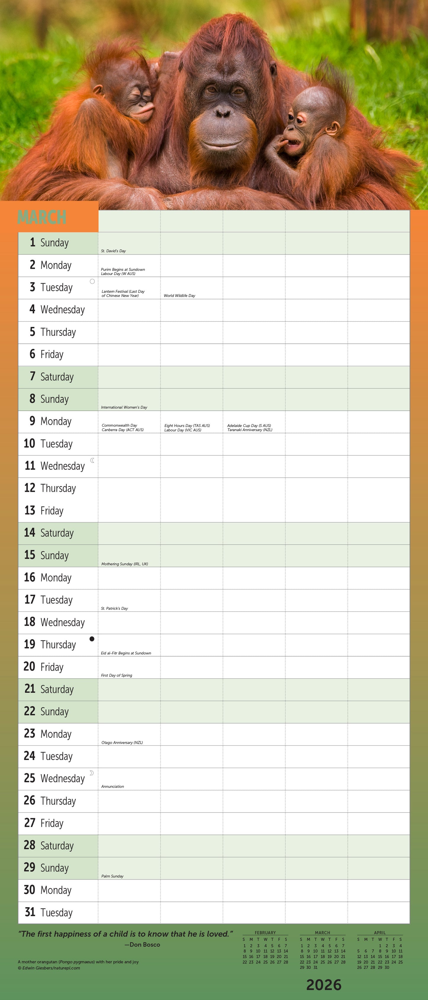 2026 family planner wall calendar with spacious layout