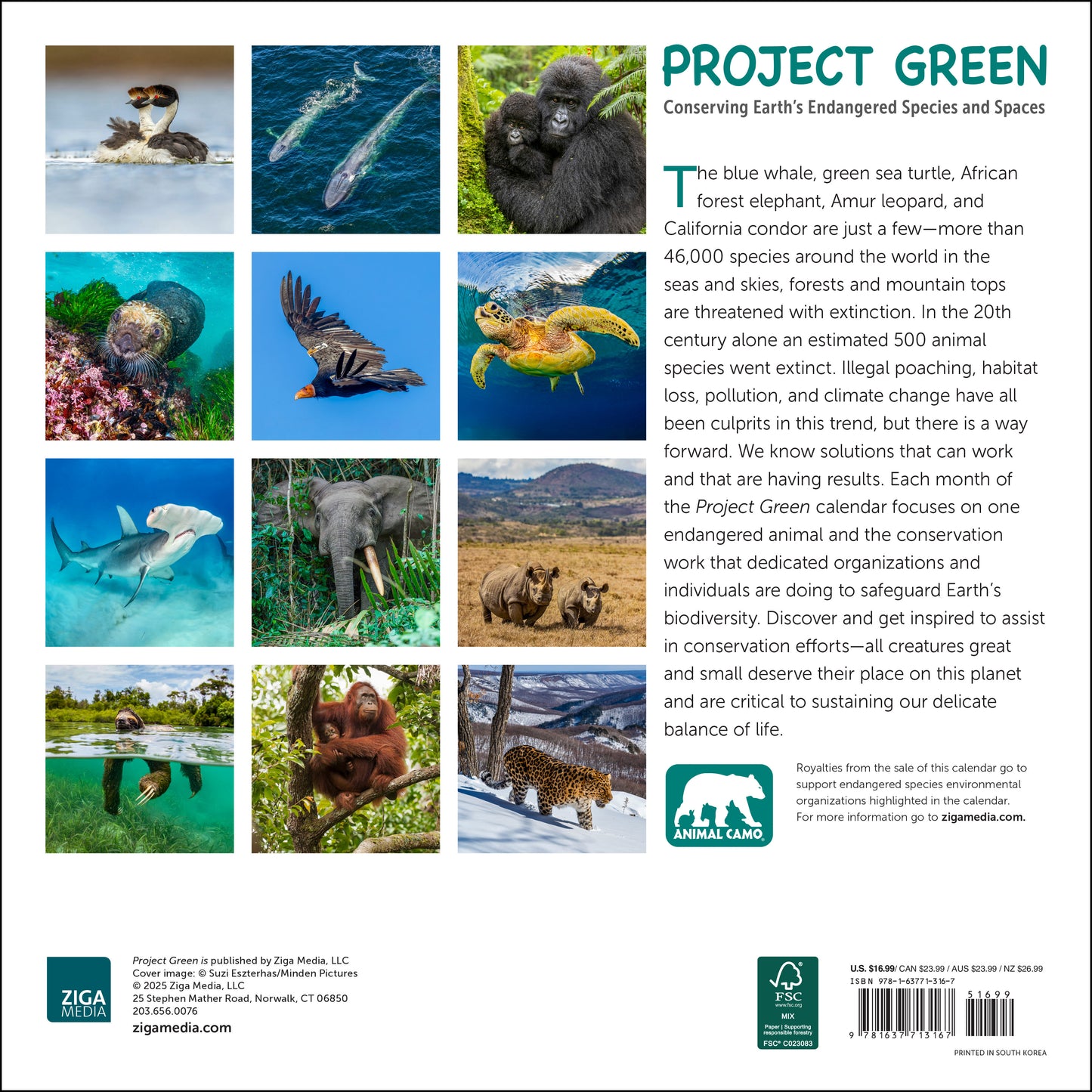 2026 Project Green Wall Calendar, 12 x 12"