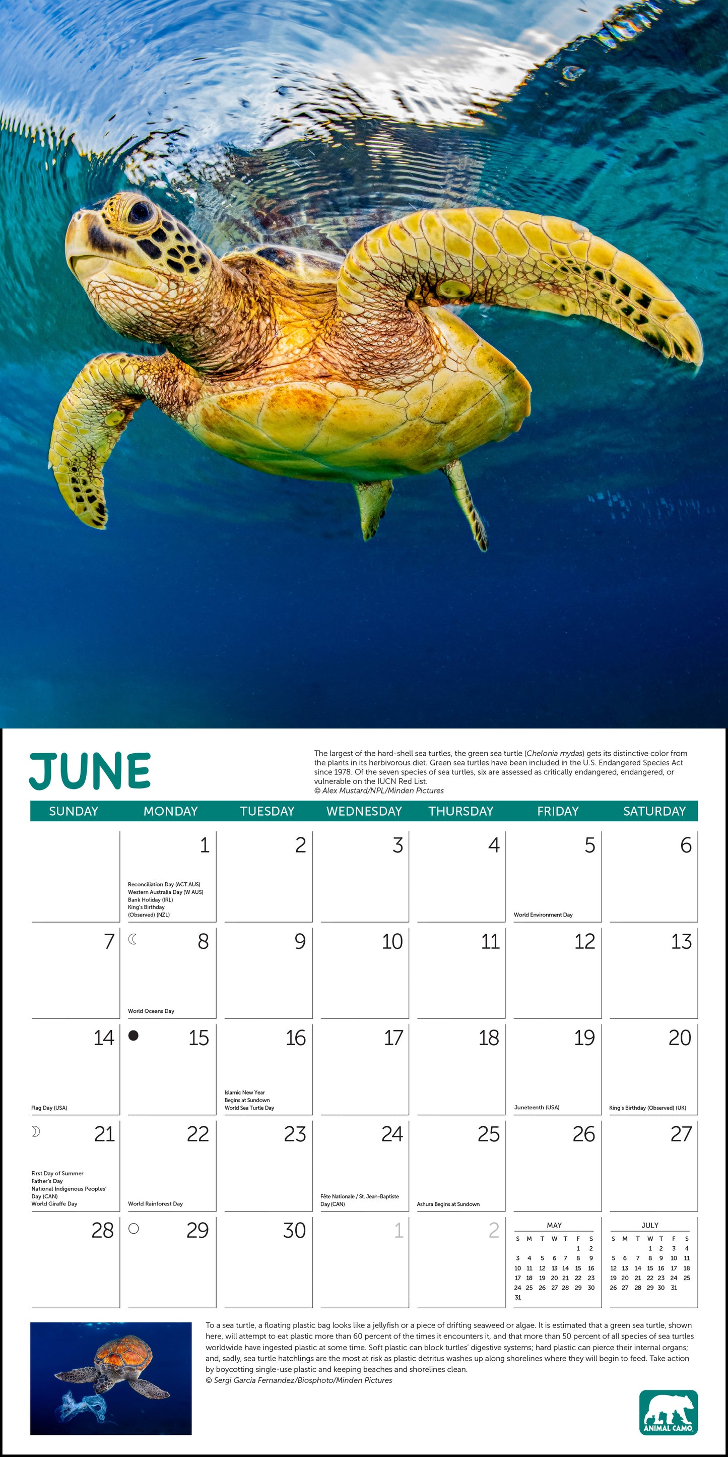 2026 Project Green Wall Calendar, 12 x 12"