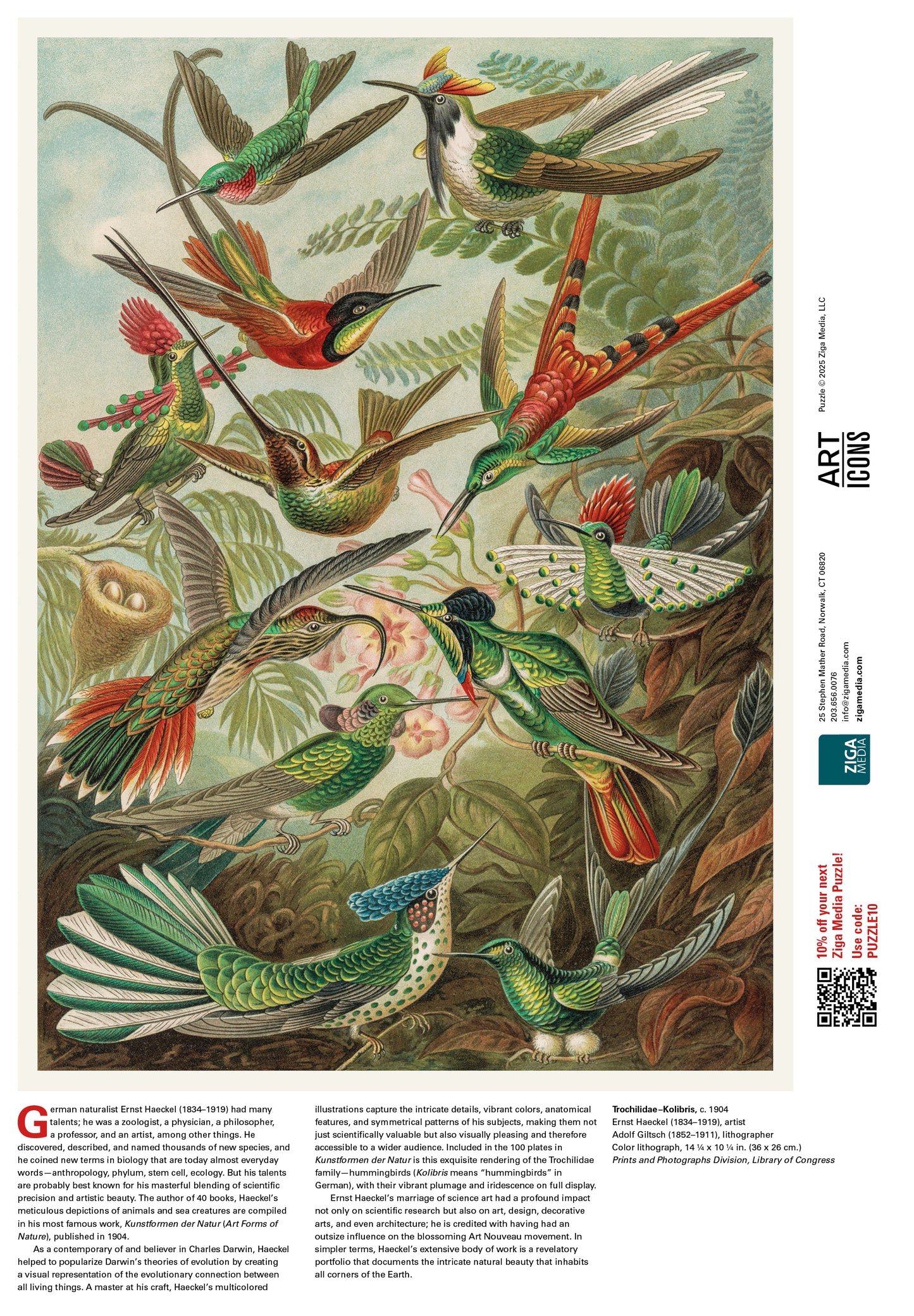 Hummingbirds 1000 or 500 Piece Puzzle