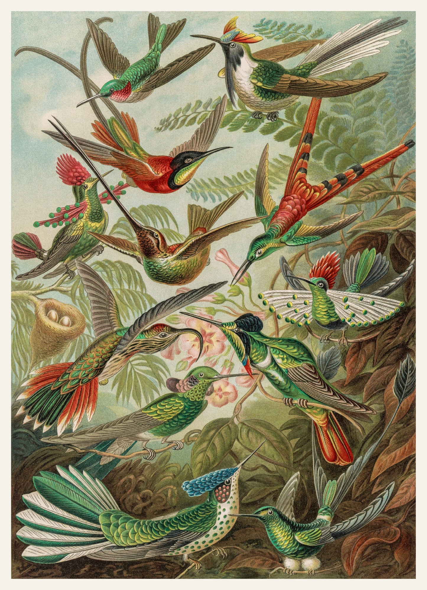 Hummingbirds 1000 or 500 Piece Puzzle