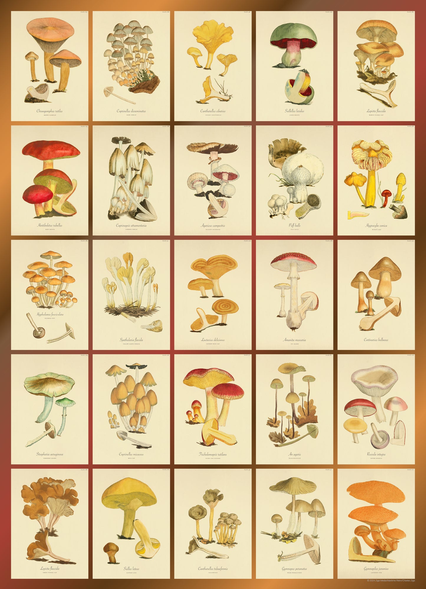 Mushroom Botanicals 1000 or 500 Piece Puzzle