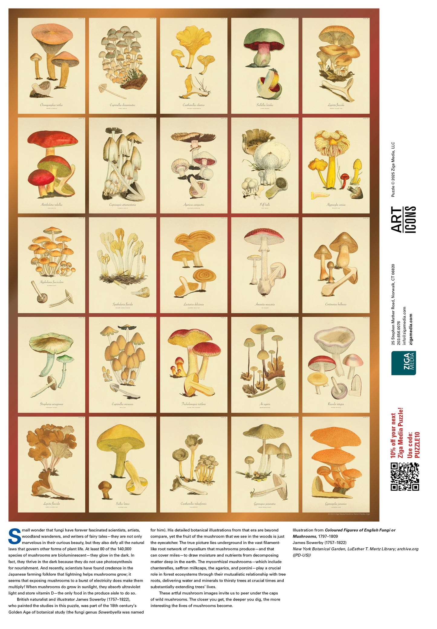 Mushroom Botanicals 1000 or 500 Piece Puzzle