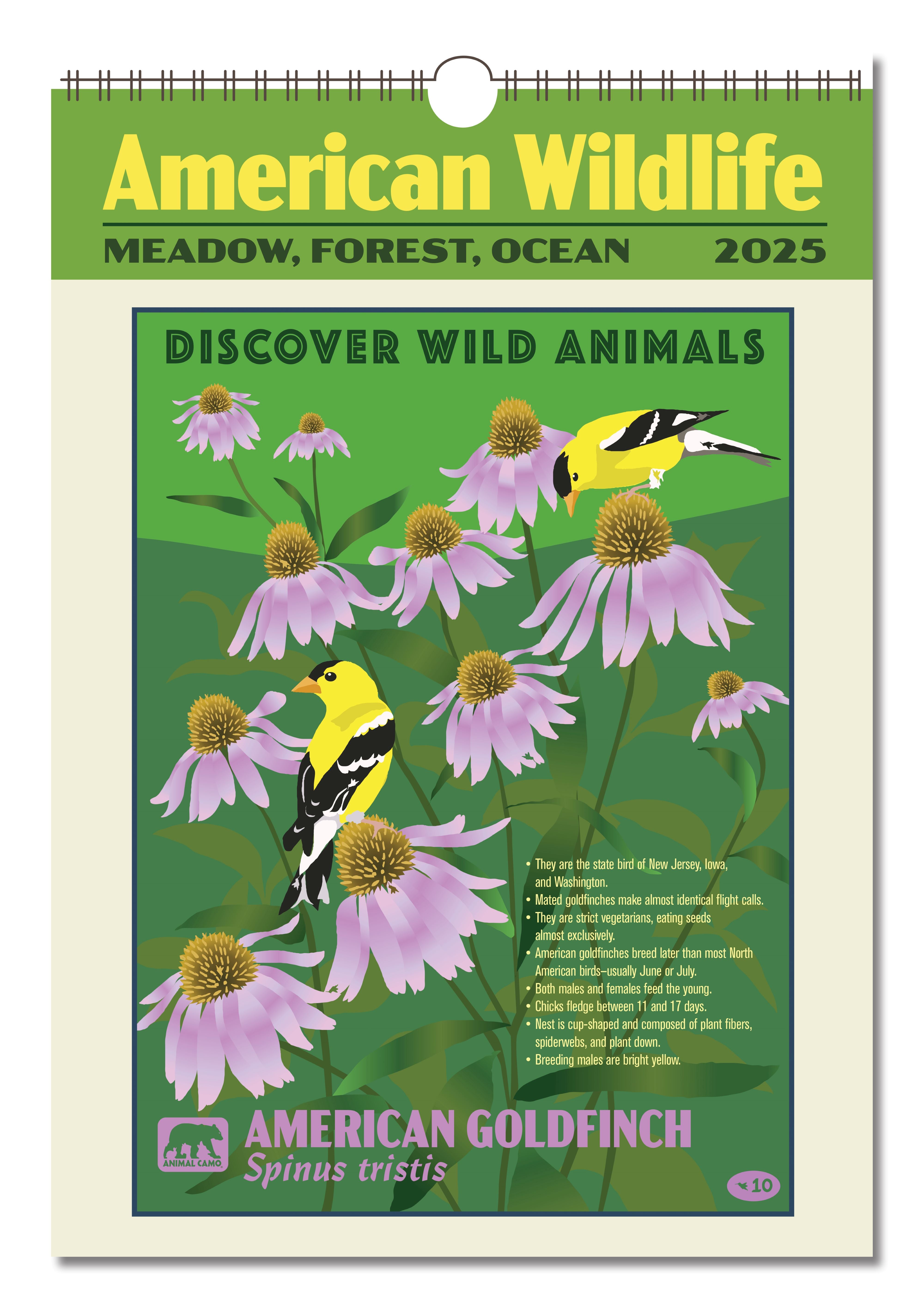American Wildlife 2025 Oversize Wall Calendar 13 38 #39 #39 x 19 #39 #39 Ziga Media American Wildlife 2025 Oversize Wall Calendar 13 38 #39 #39 x 19 #39 #39 Ziga Media