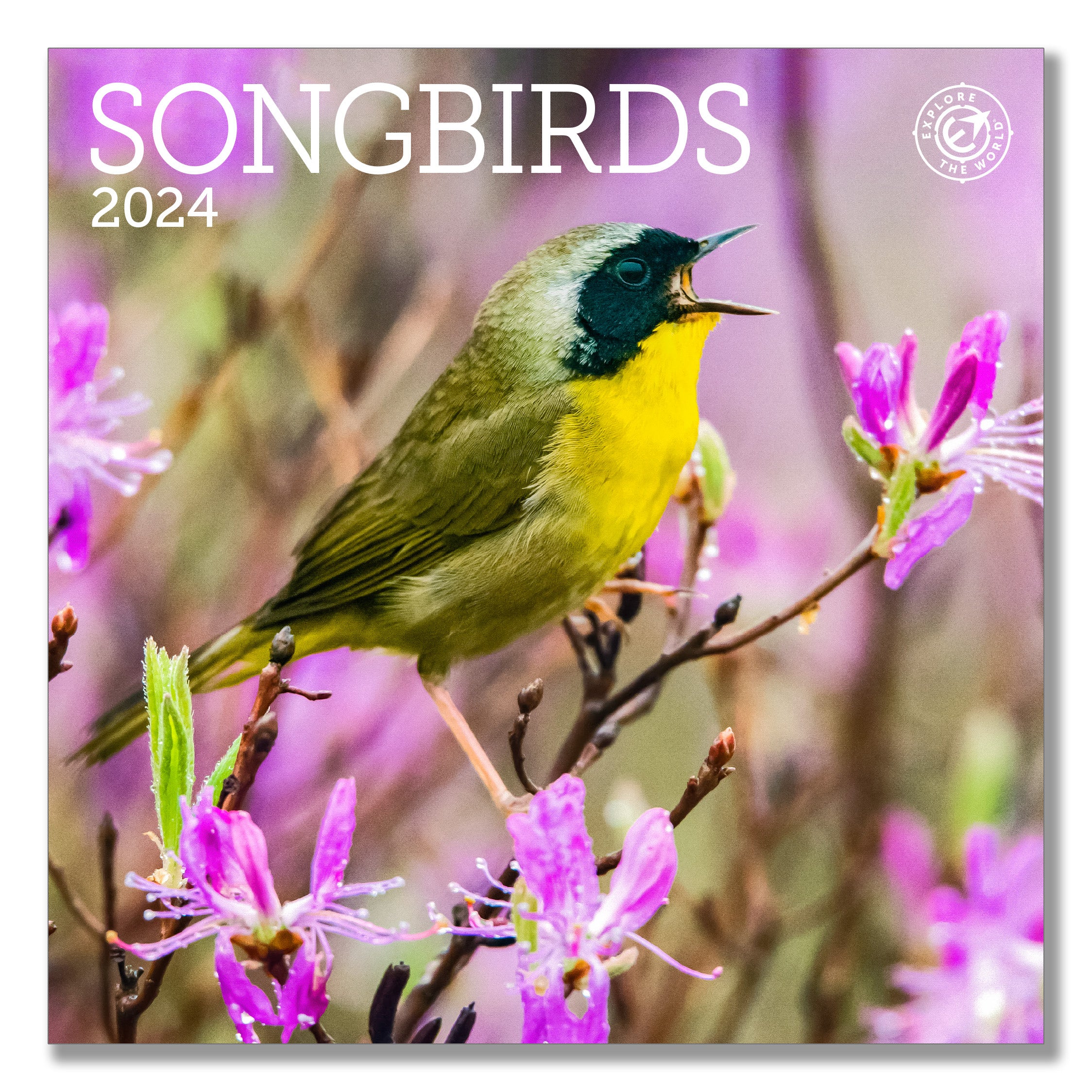 Songbirds Mini Wall Calendar 2024, 7" x 7" Ziga Media