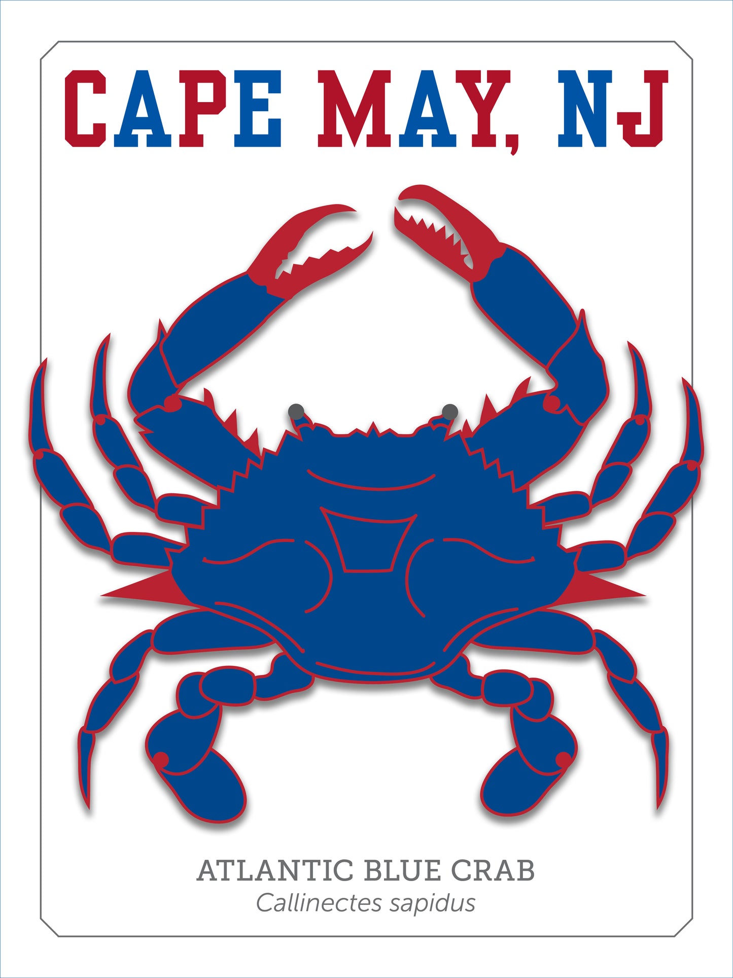 Cape May Blue Crab Print