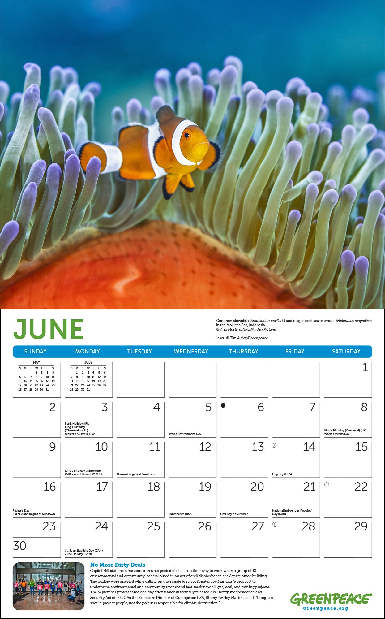 Tropical Fish Monthly 2024 Wall Calendar (12 x 12)