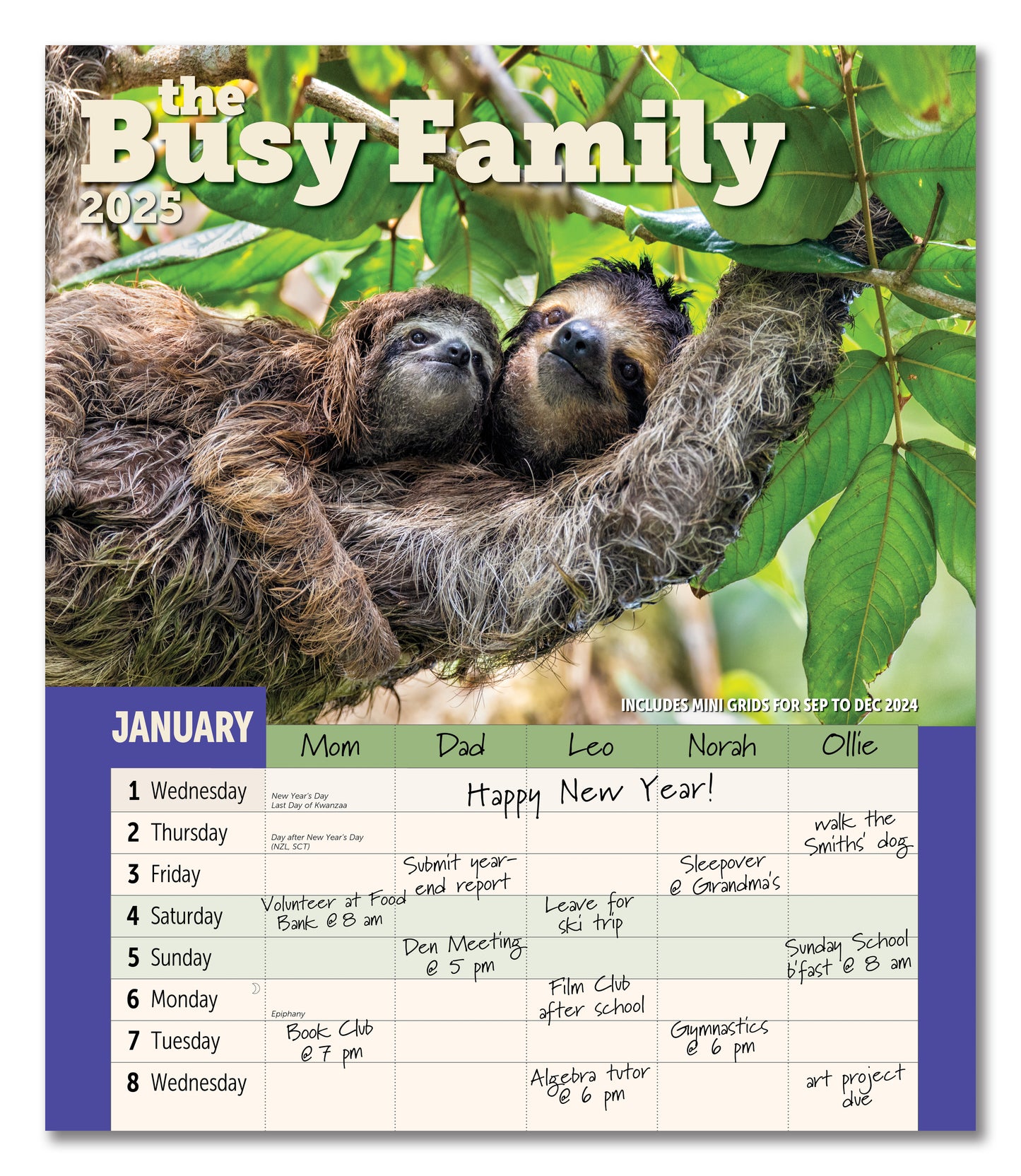 Busy Family Wall Calendar 2025, Monthly January-December 12'' x 14"