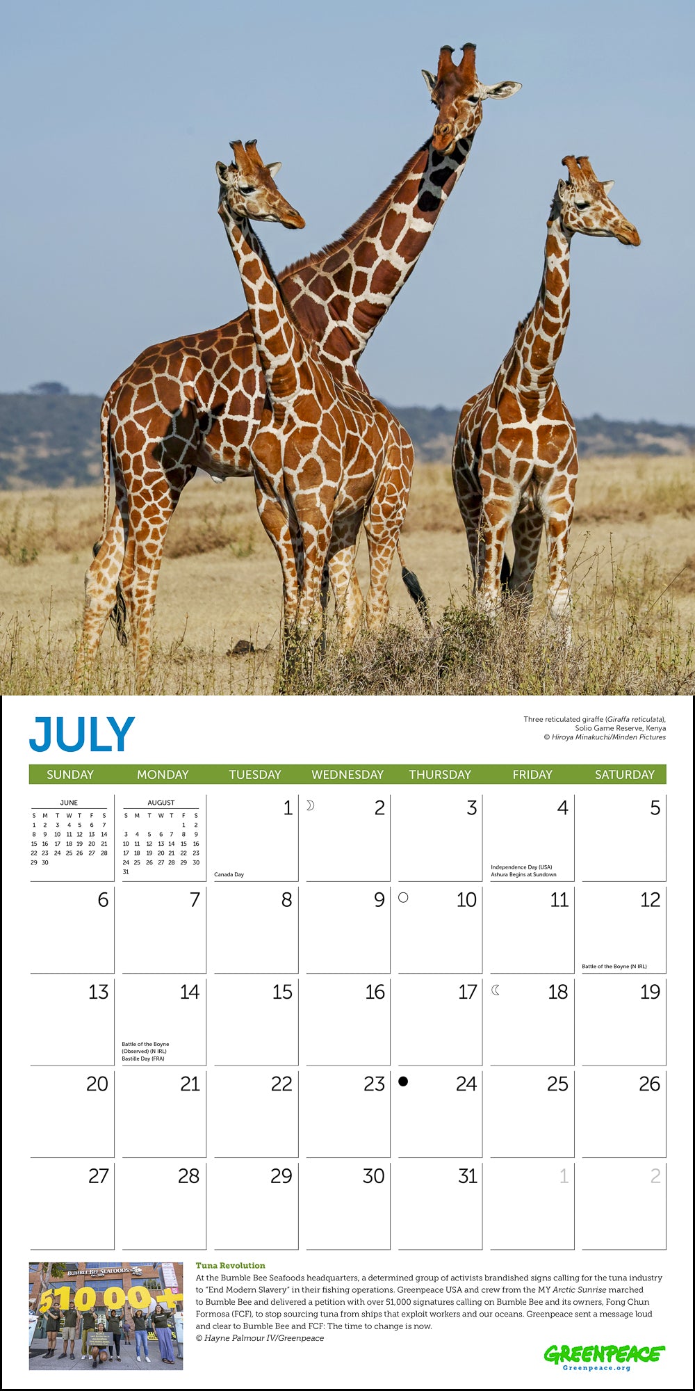 Greenpeace Wall Calendar 2025, Monthly January-December 12'' x 12"