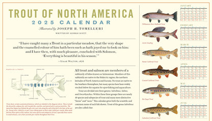 Trout of North America Wall Calendar 2025, Monthly January-December 14'' x 8"