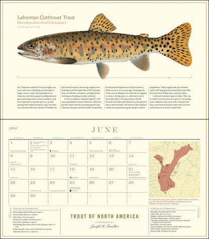 Trout of North America Wall Calendar 2025, Monthly January-December 14'' x 8"