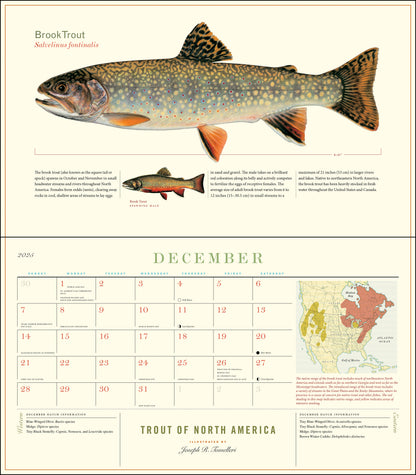 Trout of North America Wall Calendar 2025, Monthly January-December 14'' x 8"