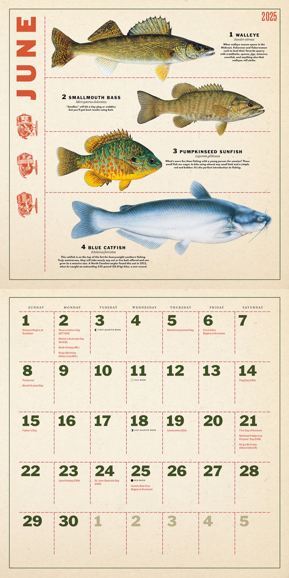 Twelve Months of Fishing Wall Calendar 2025, Monthly January-December 12'' x 12"