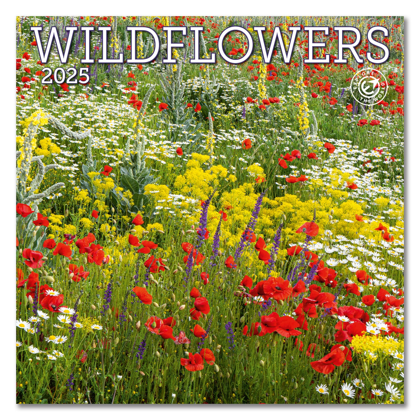 Wildflowers Wall Calendar 2025, Monthly January-December 12'' x 12"