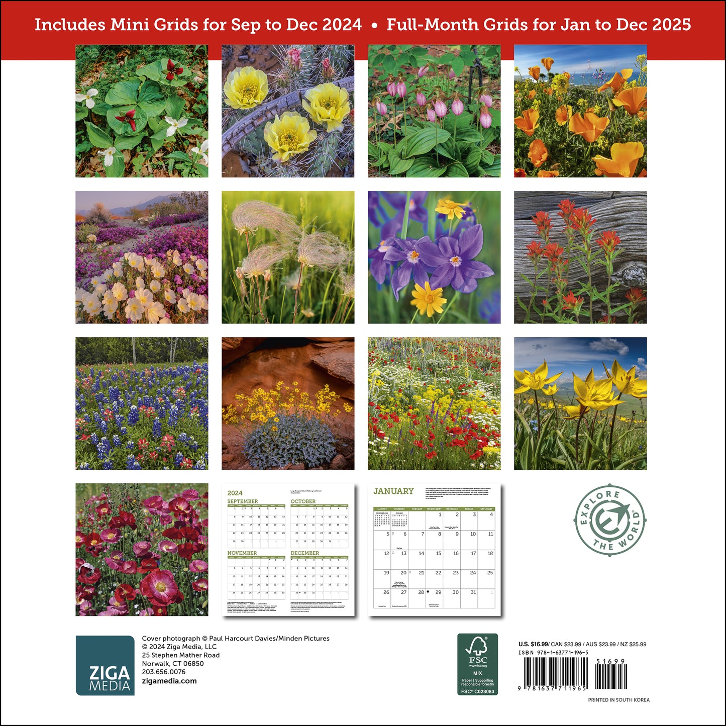 Wildflowers Wall Calendar 2025, Monthly January-December 12'' x 12"