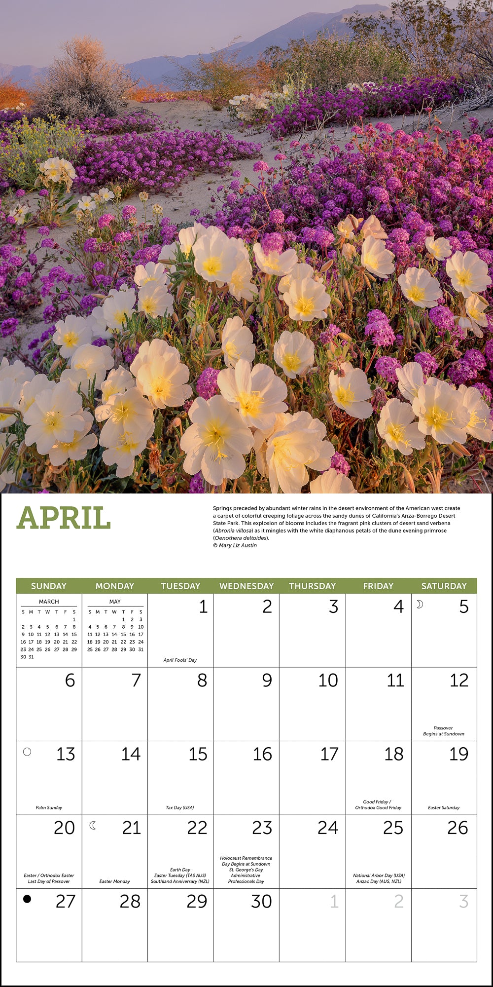 Wildflowers Wall Calendar 2025, Monthly January-December 12'' x 12"