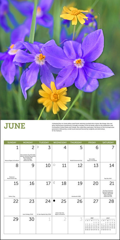 Wildflowers Wall Calendar 2025, Monthly January-December 12'' x 12"