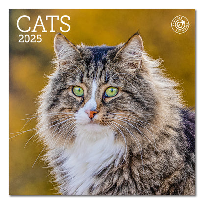 Cats Mini Wall Calendar 2025, 7" x 7"