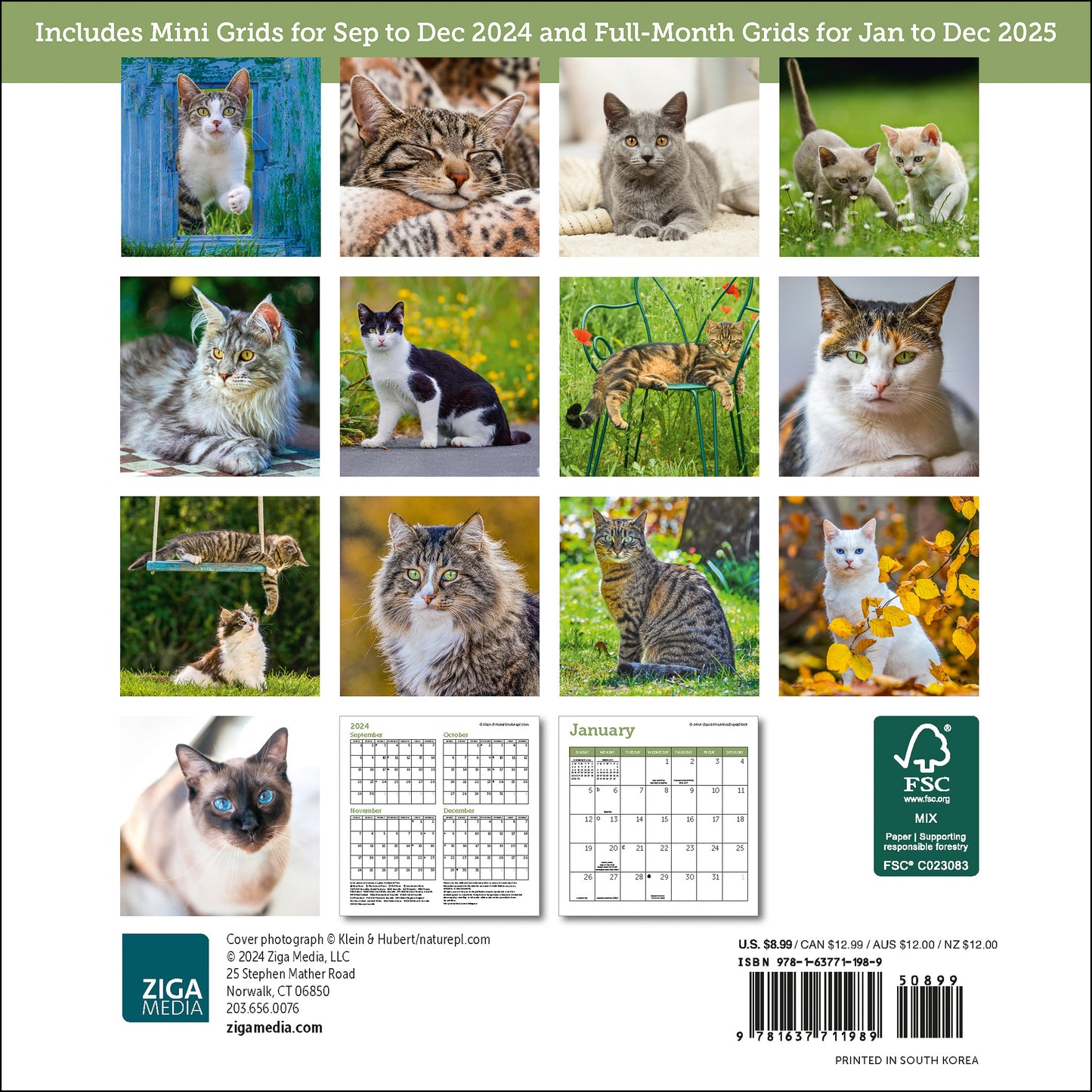 Cats Mini Wall Calendar 2025, 7" x 7"