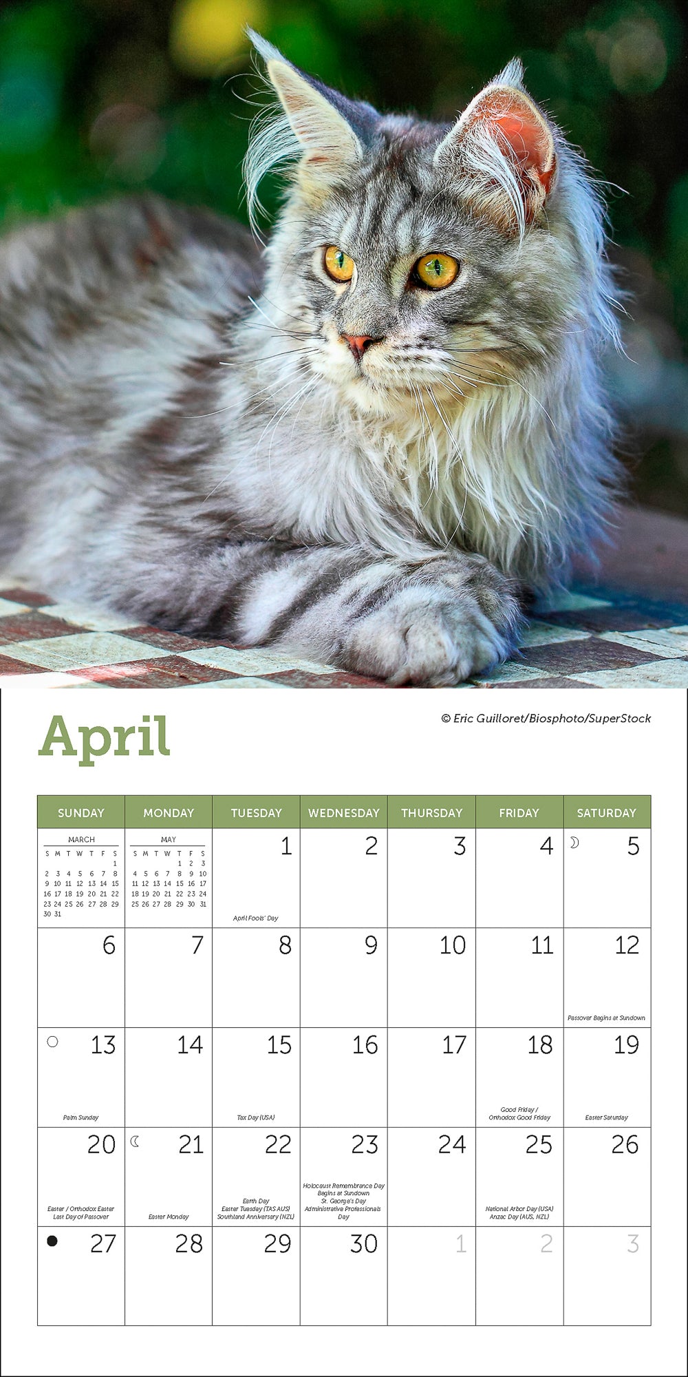 2025 Cats Mini Wall Calendar 7 2025-cats-mini-wall-calendar-7-x-7-adorable-and-compact-ziga-media