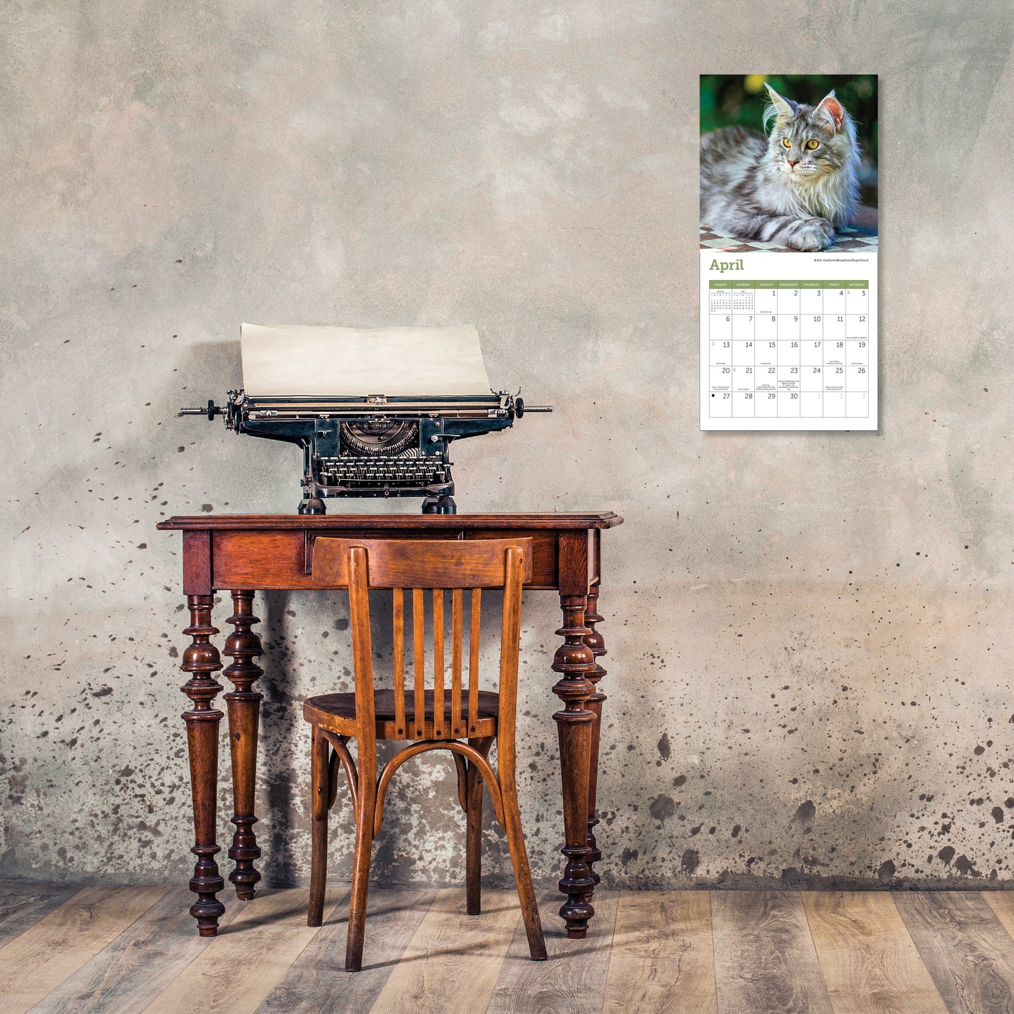 Cats Mini Wall Calendar 2025, 7" x 7"