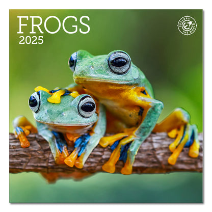 Frogs Mini Wall Calendar 2025, 7" x 7"