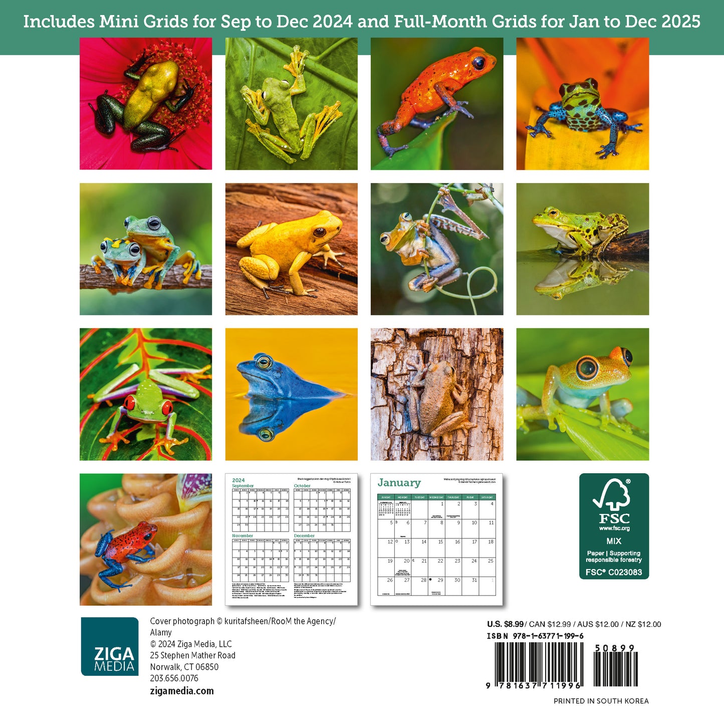 Frogs Mini Wall Calendar 2025, 7" x 7"