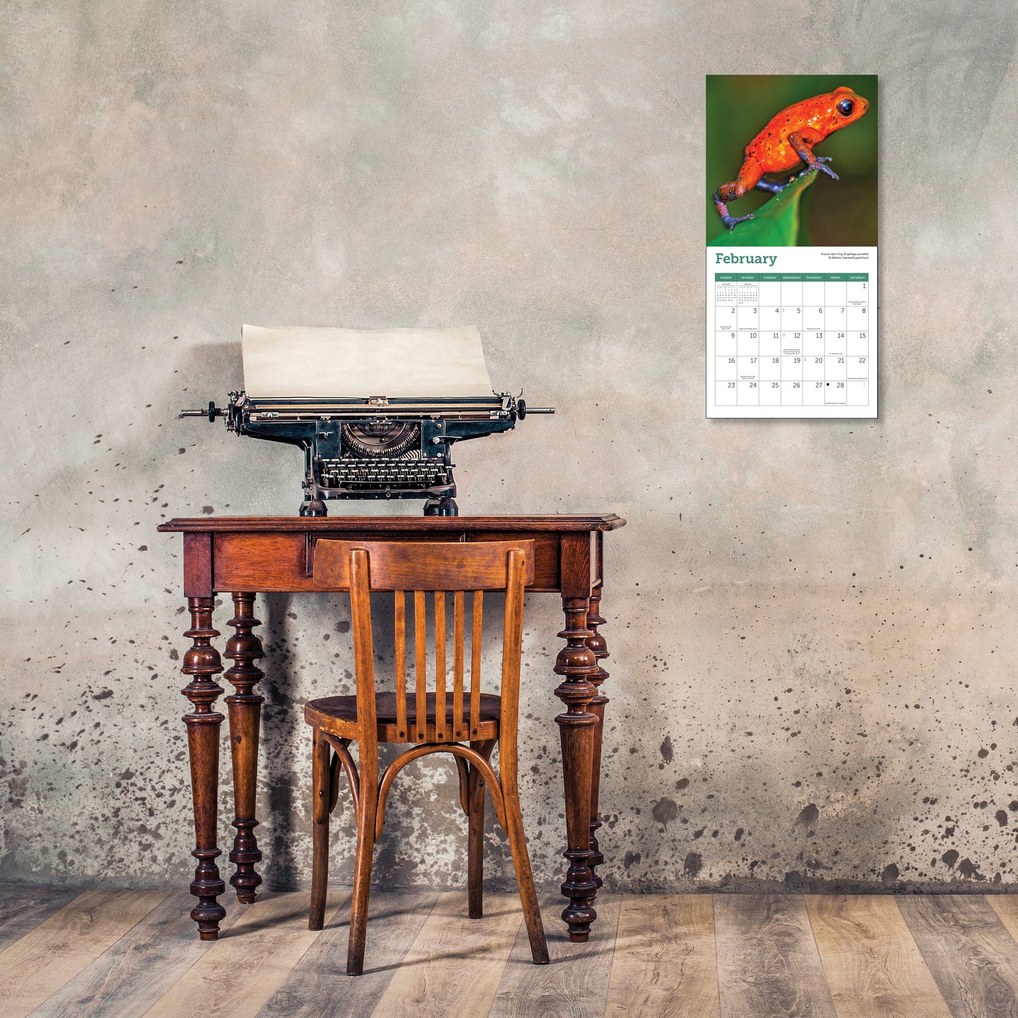 Frogs Mini Wall Calendar 2025, 7" x 7"