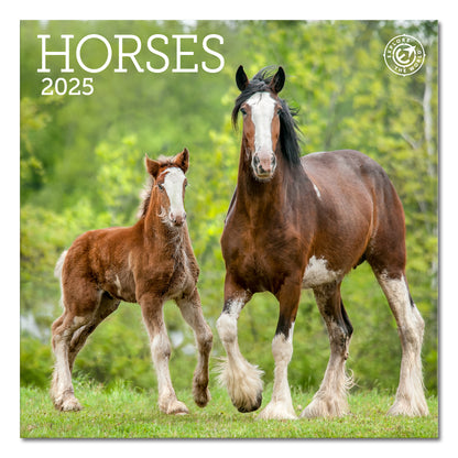 Horses Mini Wall Calendar 2025, 7" x 7"