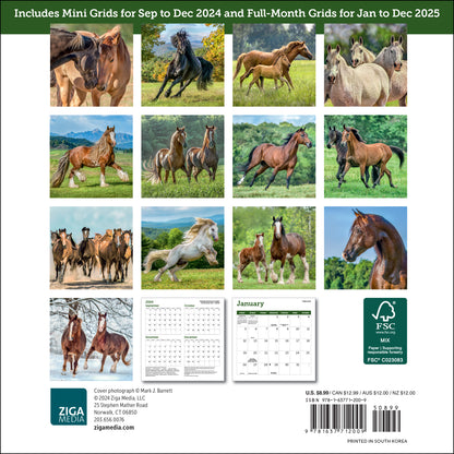 Horses Mini Wall Calendar 2025, 7" x 7"