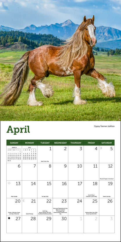 Horses Mini Wall Calendar 2025, 7" x 7"