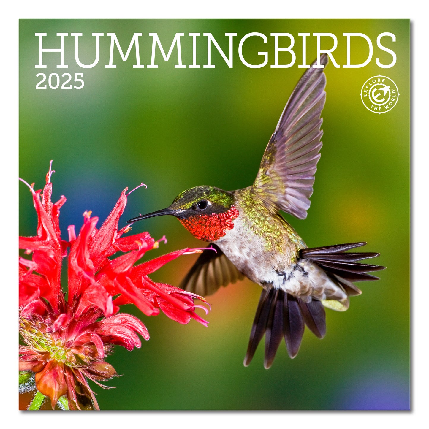 Hummingbirds Mini Wall Calendar 2025, 7" x 7"