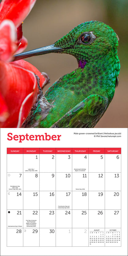 Hummingbirds Mini Wall Calendar 2025, 7" x 7"