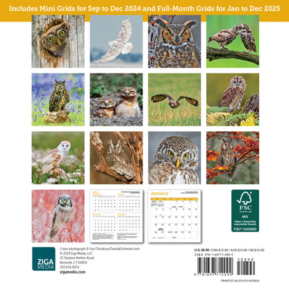 Owls Mini Wall Calendar 2025, 7" x 7"