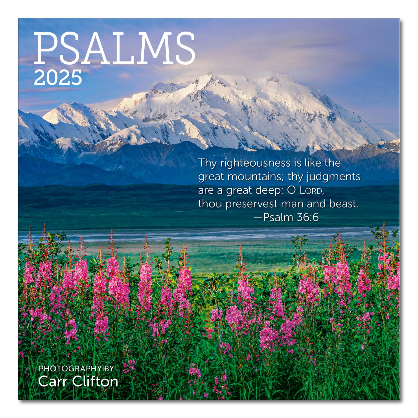 Psalms Mini Wall Calendar 2025, 7" x 7"