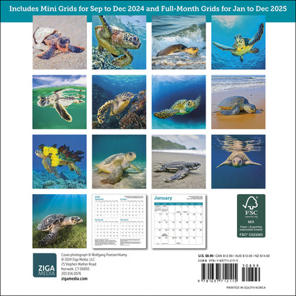 Sea Turtles Mini Wall Calendar 2025, 7" x 7"