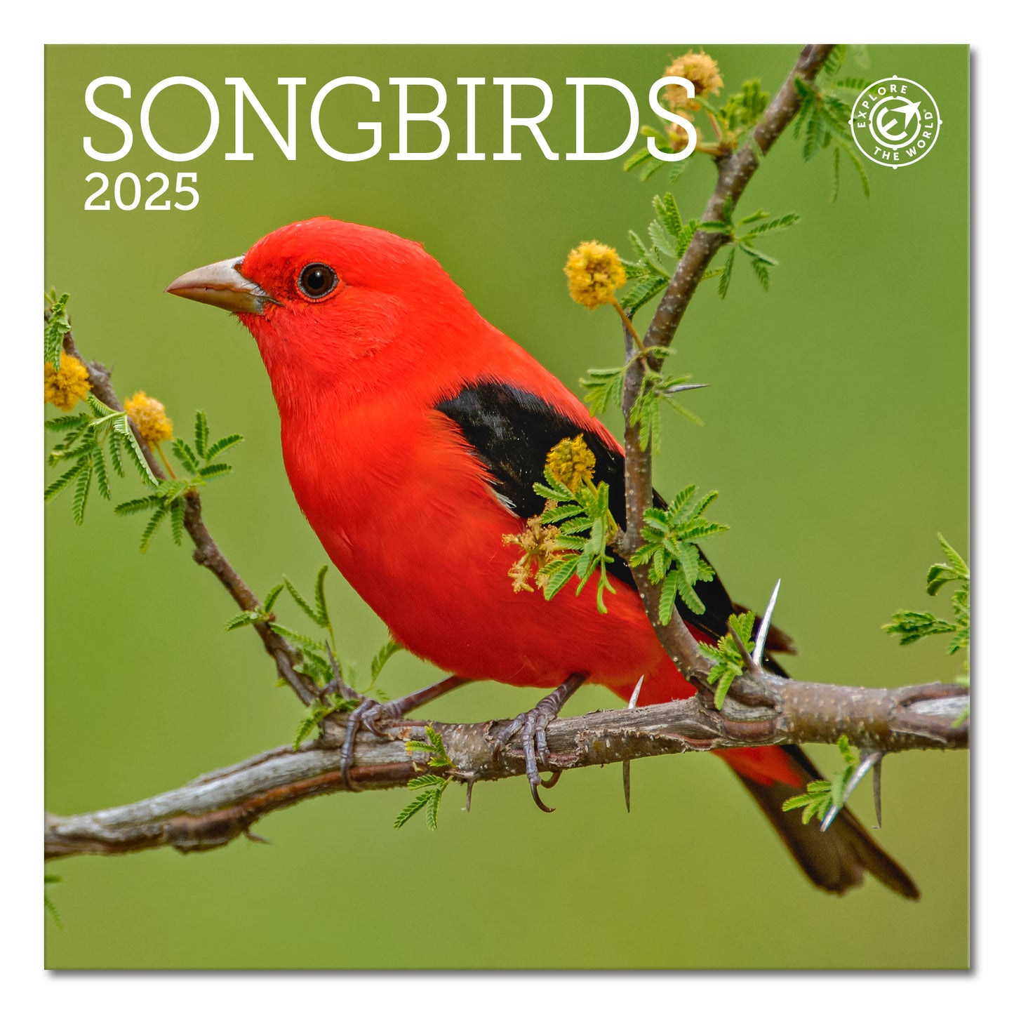 Songbirds Mini Wall Calendar 2025, 7" x 7"