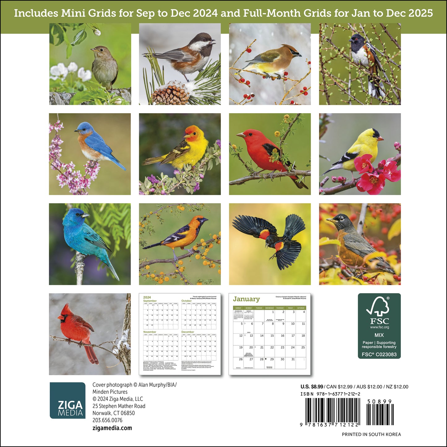 Songbirds Mini Wall Calendar 2025, 7" x 7"