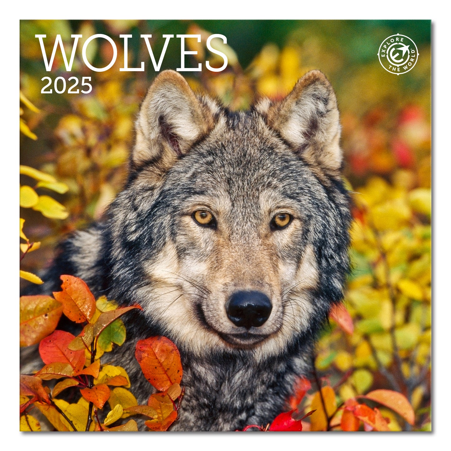 Wolves Mini Wall Calendar 2025, 7" x 7"